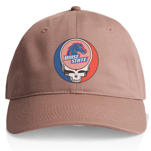 Boise State University Stealie Dad Hat