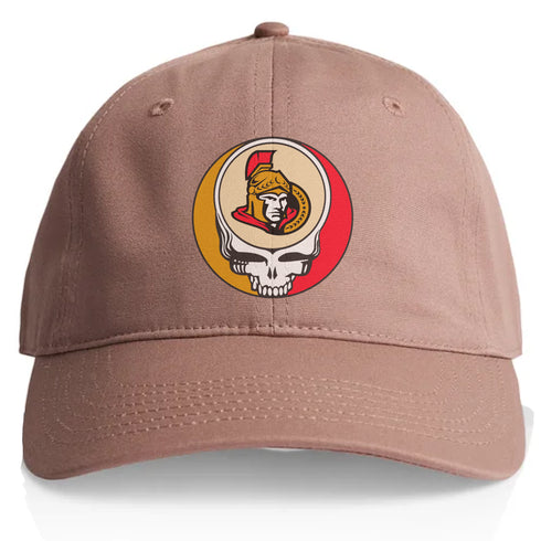 Washington Senators Stealie Dad Hat