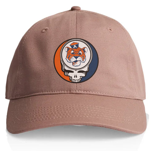Auburn University Stealie Dad Hat