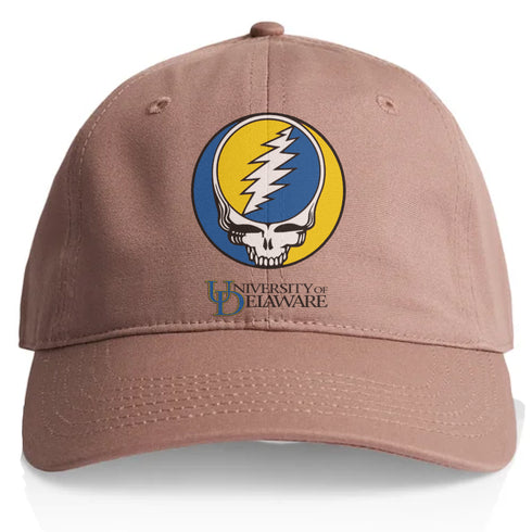 University of Delaware Stealie Dad Hat
