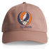 University of Illinois Stealie Dad Hat