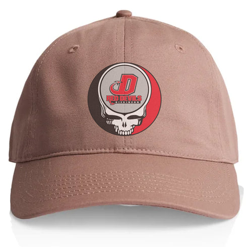 Dickinson Stealie Dad Hat