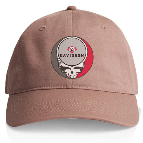 Davidson Stealie Dad Hat