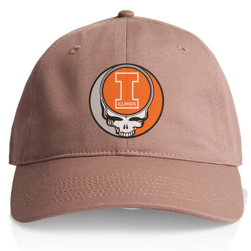University of Illinois Stealie Dad Hat