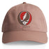 Brown University Stealie Dad Hat