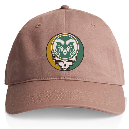 Colorado State University Stealie Dad Hat