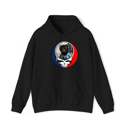 1646 - Custom Stealie Hoodie