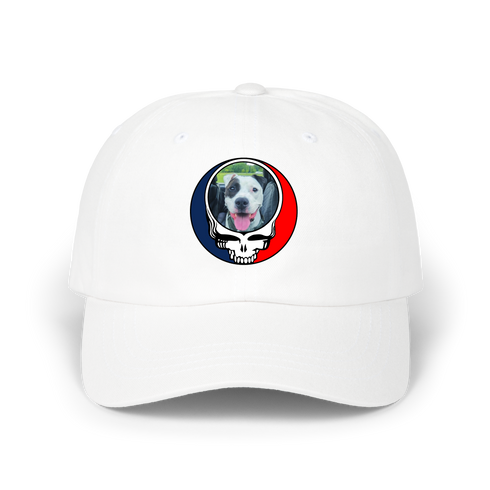 1630 - Custom Stealie Dad Hat