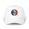 1630 - Custom Stealie Dad Hat