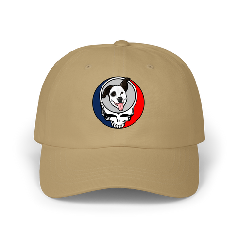 1613 - Custom Stealie Dad Hat