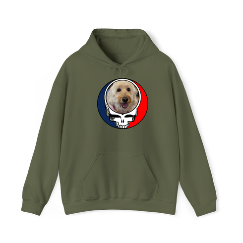 1513 - Custom Stealie Hoodie
