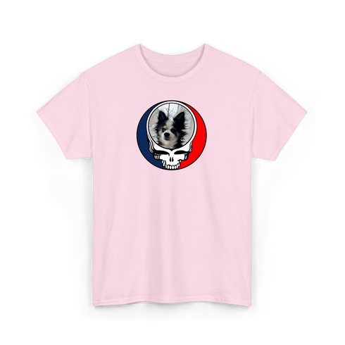 1709 - Custom Stealie T-Shirt