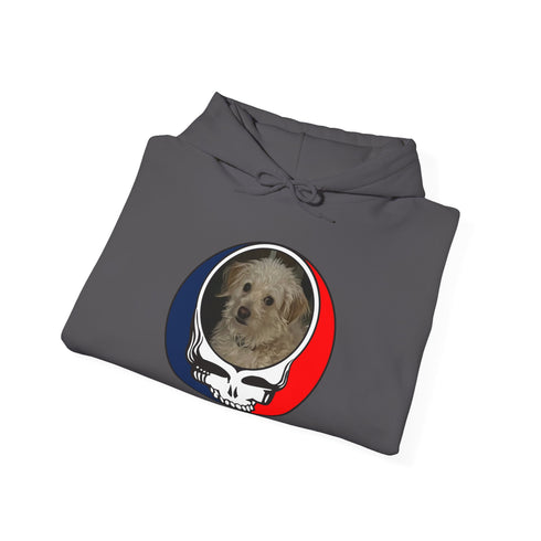 Custom Stealie Premium Unisex Stealie Hoodie (168)