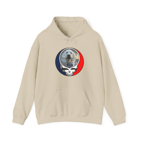 Custom Dog Premium Unisex Stealie Hoodie (77)