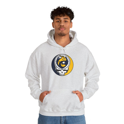 UC Santa Cruz Grateful Dead Unisex Heavy Blend Hoodie StealieShop