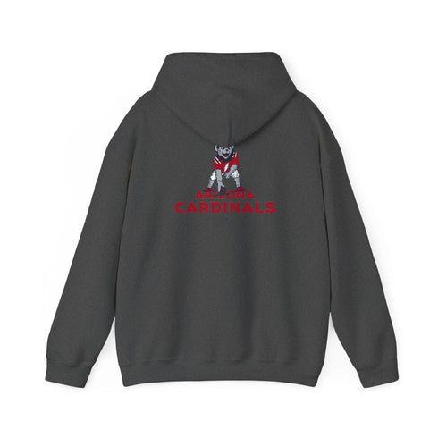 Arizona Cardinals Dancing Bear Unisex Hoodie - NFL - StealieShop