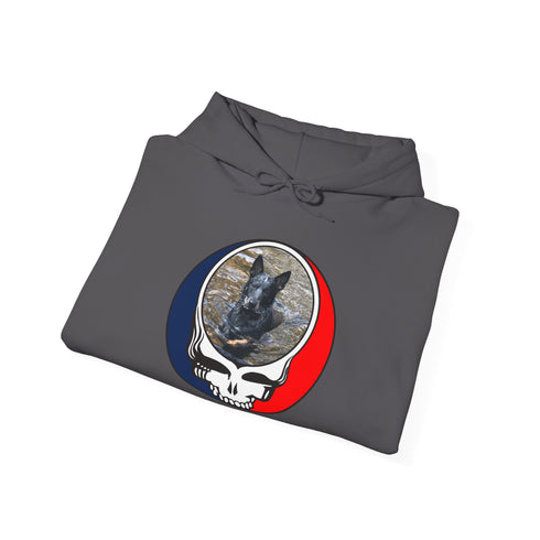 Custom Dog Premium Unisex Stealie Hoodie (45)