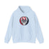 Grateful Dead - Houston Texans Stealie Grateful Dead Hooded Sweatshirt - NFL - StealieShop