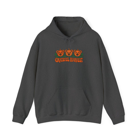 Pumpkin Bears Premium Unisex Hoodie