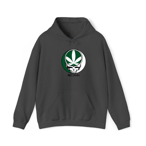 1667 - Custom Stealie Hoodie