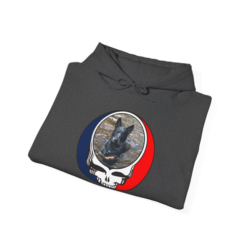 Custom Dog Premium Unisex Stealie Hoodie (45)