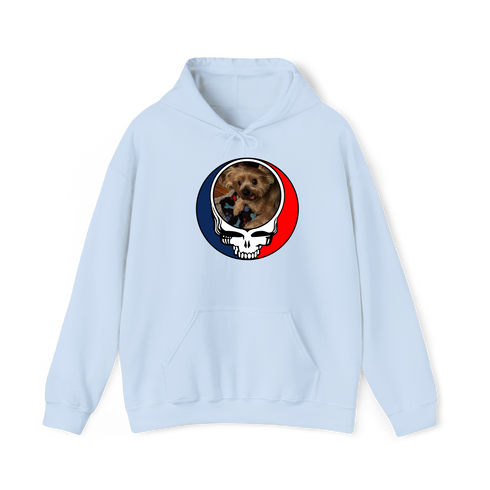 1349 - Custom Stealie Hoodie