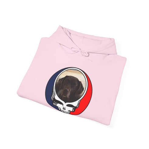 Custom Dog Premium Unisex Stealie Hoodie (74)