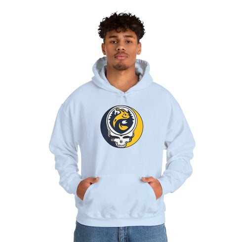 UC Santa Cruz Grateful Dead Unisex Heavy Blend Hoodie StealieShop
