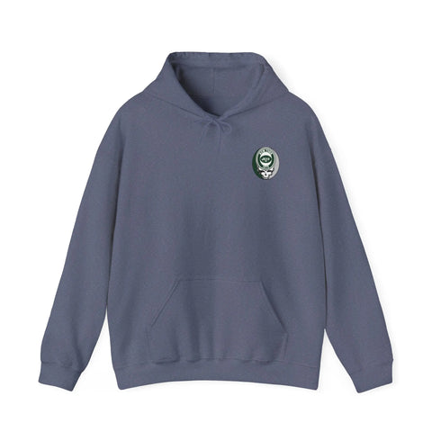 New York Jets Dancing Bear Unisex Hoodie - NFL - StealieShop
