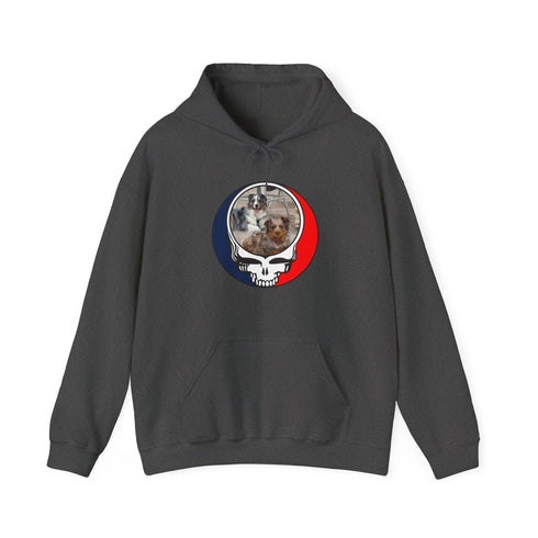 Custom Dog Premium Unisex Stealie Hoodie (50)