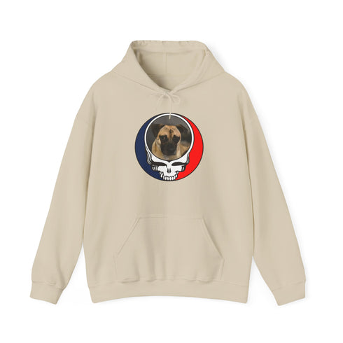 Custom Dog Stealie Premium Unisex Stealie Hoodie (167)