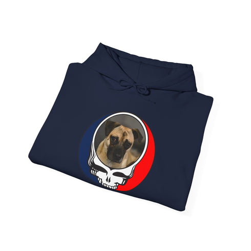 Custom Dog Stealie Premium Unisex Stealie Hoodie (167)