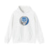 Grateful Dead - Detroit Lions Stealie Grateful Dead Hooded Sweatshirt - NFL - StealieShop