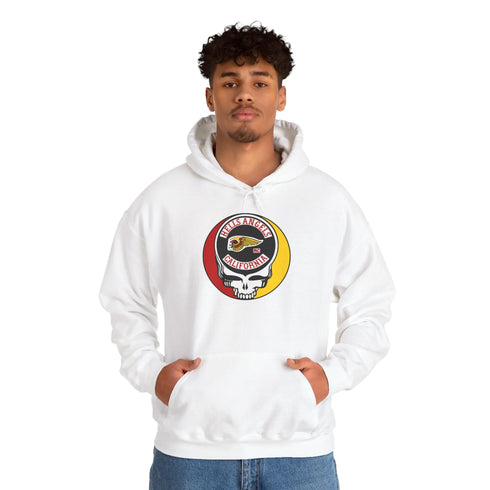 Grateful Dead - Hells Angels Stealie Unisex Heavy Blend Hoodie - StealieShop