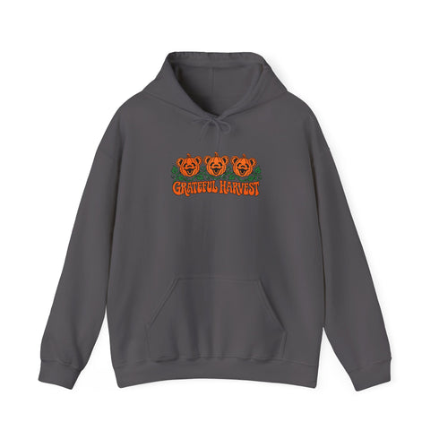 Pumpkin Bears Premium Unisex Hoodie