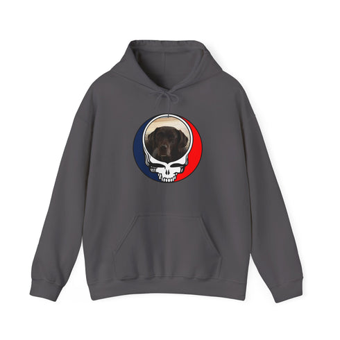 Custom Dog Premium Unisex Stealie Hoodie (74)