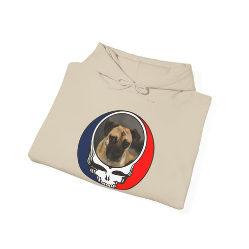 Custom Dog Stealie Premium Unisex Stealie Hoodie (161)