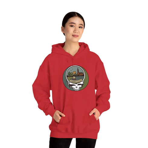 Connecticut Stealie Unisex Heavy Blend Hoodie