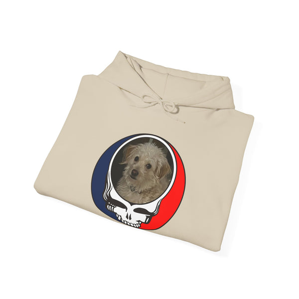 Custom Stealie Premium Unisex Stealie Hoodie (168)