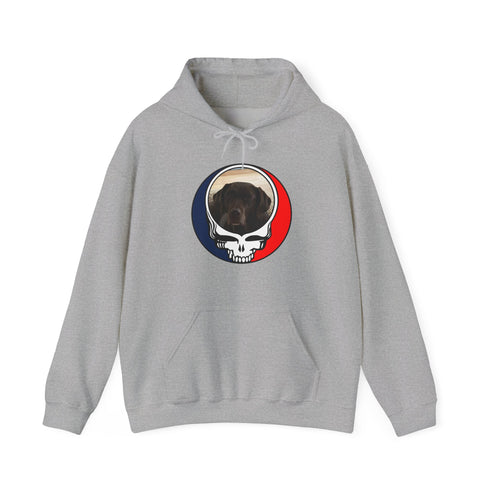 Custom Dog Premium Unisex Stealie Hoodie (74)