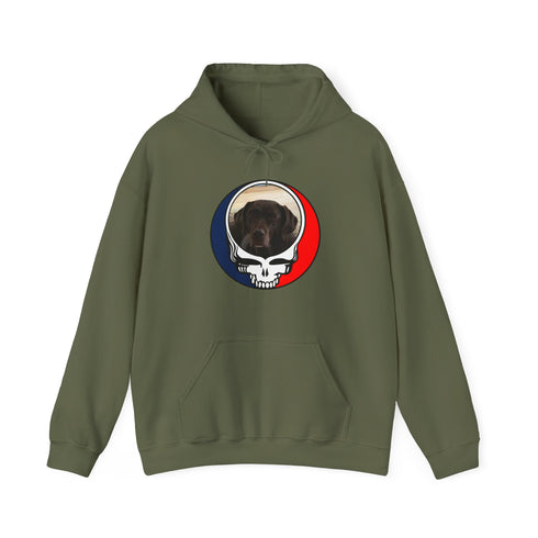 Custom Dog Premium Unisex Stealie Hoodie (74)