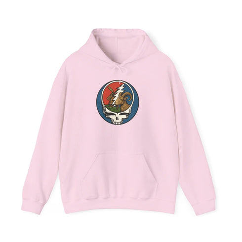 Custom Millbilly Stealie Grateful Dead Hoodie Sweatshirt