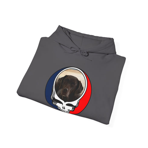 Custom Dog Premium Unisex Stealie Hoodie (74)