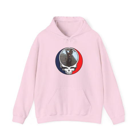 Custom Dog Premium Unisex Stealie Hoodie (116)