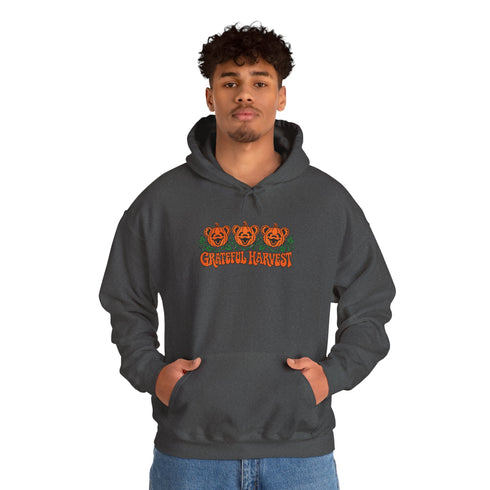 Pumpkin Bears Premium Unisex Hoodie