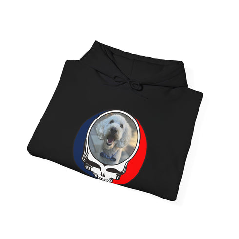 Custom Dog Premium Unisex Stealie Hoodie (77)