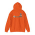 Miami Dolphins Dancing Bear Unisex Hoodie - NFL - StealieShop