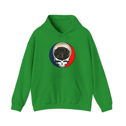 Custom Dog Premium Unisex Stealie Hoodie (74)
