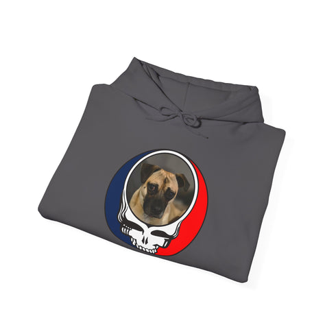 Custom Dog Stealie Premium Unisex Stealie Hoodie (161)