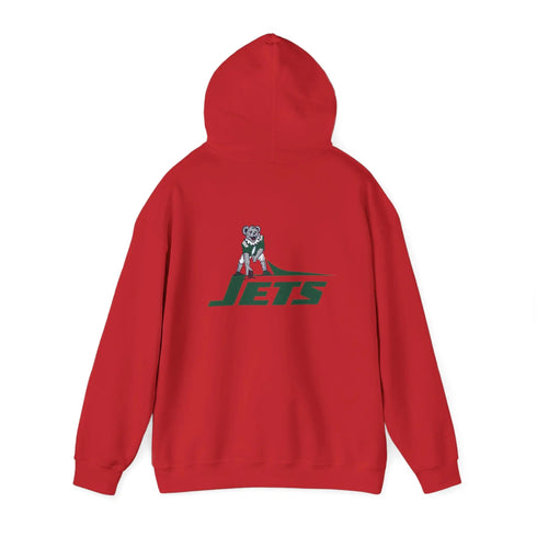 New York Jets Dancing Bear Unisex Hoodie - NFL - StealieShop